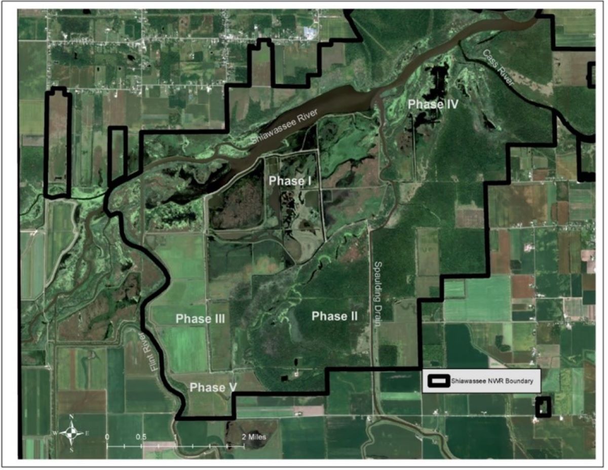 August 2021 satellite image of Shiawassee Refuge shows the conversion